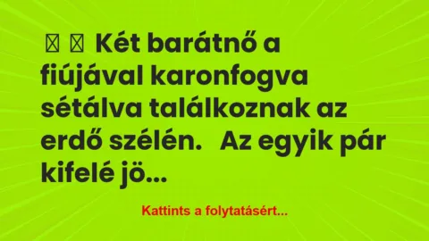 Vicc: 
	    	    Két barátnő a fiújával karonfogva sétálva…