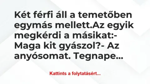 Vicc: Két férfi áll a temetőben egymás mellett.

Az egyik…