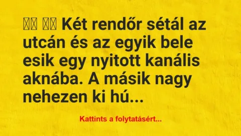 Vicc: 
		  
		  Két rendőr sétál az utcán és az egyik…