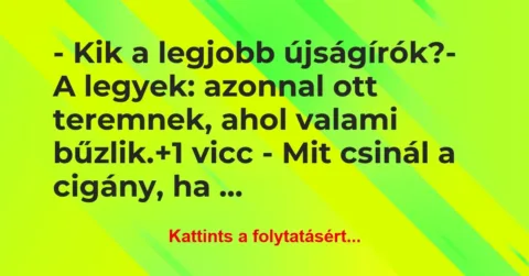 Vicc: – Kik a legjobb újságírók?
– A legyek: azonnal ott teremnek, ahol… Vicc: – Kik a legjobb újságírók?
– A legyek: azonnal ott teremnek, ahol…