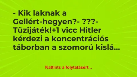 Vicc: – Kik laknak a Gellért-hegyen?

– ???

– Tüzijáték!