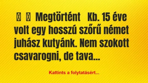 Vicc: 
	    	    Megtörtént


Kb. 15 éve volt egy hosszú…