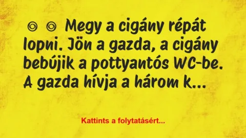 Vicc:
Megy a cigány répát lopni. Jön a gazda, a cigány … Vicc:
Megy a cigány répát lopni. Jön a gazda, a cigány …