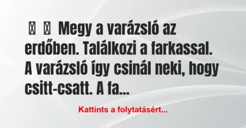 Vicc: 
	    	    Megy a varázsló az erdőben. Találkozi a farkassal. A…
