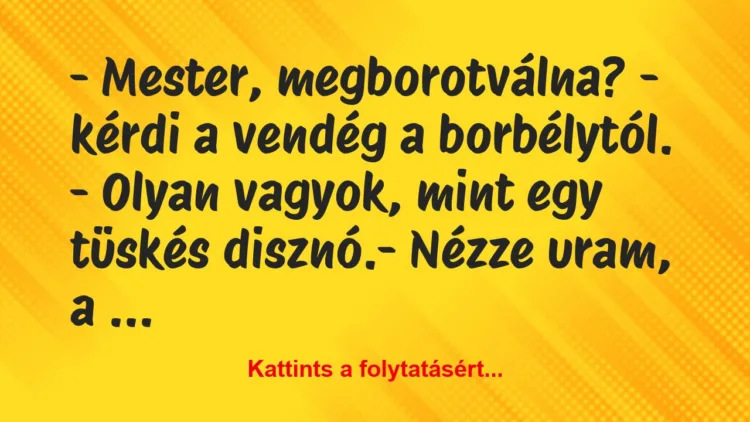 Vicc: – Mester, megborotválna? – kérdi a vendég a borbélytól. -…