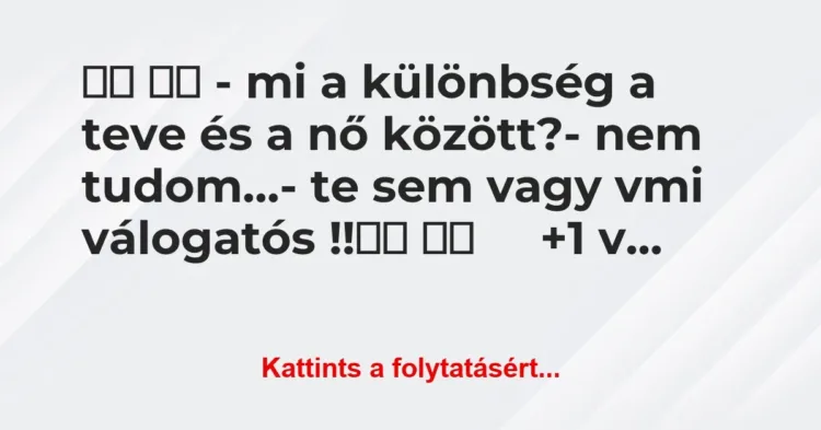 Vicc:
– mi a különbség a teve és a nő között?- nem … Vicc:
– mi a különbség a teve és a nő között?- nem …