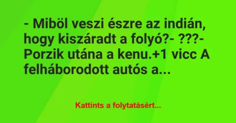Vicc: – Miböl veszi észre az indián, hogy kiszáradt a folyó?
-… Vicc: – Miböl veszi észre az indián, hogy kiszáradt a folyó?
-…