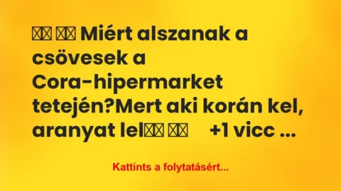 Vicc: 
		  
		  Miért alszanak a csövesek a…