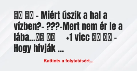 Vicc:
– Miért úszik a hal a vízben?- ???-Mert… Vicc:
– Miért úszik a hal a vízben?- ???-Mert…