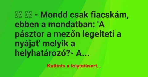 Vicc:
– Mondd csak fiacskám, ebben a mondatban: ‘A… Vicc:
– Mondd csak fiacskám, ebben a mondatban: ‘A…