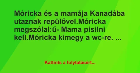 Vicc: Móricka és a mamája Kanadába utaznak repülővel.

Móricka…