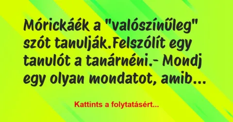 Vicc: Mórickáék a “valószínűleg” szót tanulják.
Felszólít egy tanulót a… Vicc: Mórickáék a “valószínűleg” szót tanulják.
Felszólít egy tanulót a…
