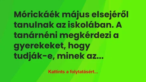 Vicc: Mórickáék május elsejéről tanulnak az iskolában. A tanárnéni… Vicc: Mórickáék május elsejéről tanulnak az iskolában. A tanárnéni…