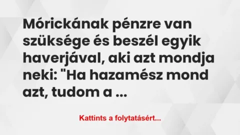 Vicc: Mórickának pénzre van szüksége és beszél egyik haverjával, a…