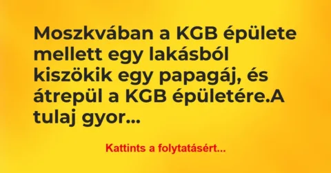 Vicc: Moszkvában a KGB épülete mellett egy lakásból kiszökik egy papagáj, és… Vicc: Moszkvában a KGB épülete mellett egy lakásból kiszökik egy papagáj, és…
