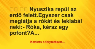 Vicc: 
		  
		  Nyuszika repül az erdő felett.Egyszer csak…