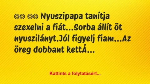 Vicc: 
		  
		  Nyuszipapa tanítja szexelni a…