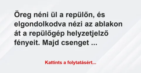 Vicc: Öreg néni ül a repülőn, és elgondolkodva nézi az ablakon át a… Vicc: Öreg néni ül a repülőn, és elgondolkodva nézi az ablakon át a…