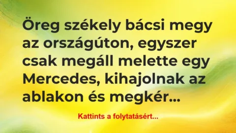 Vicc: Öreg székely bácsi megy az országúton, egyszer csak megáll… Vicc: Öreg székely bácsi megy az országúton, egyszer csak megáll…