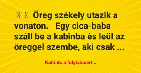 Vicc:
Öreg székely utazik a vonaton.
Egy cica-baba száll… Vicc:
Öreg székely utazik a vonaton.
Egy cica-baba száll…