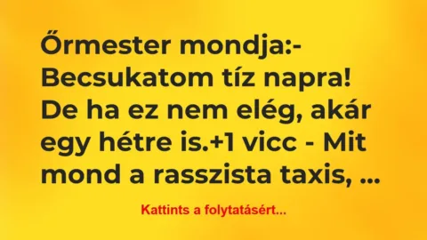 Vicc: Őrmester mondja:
– Becsukatom tíz napra! De ha ez nem… Vicc: Őrmester mondja:
– Becsukatom tíz napra! De ha ez nem…