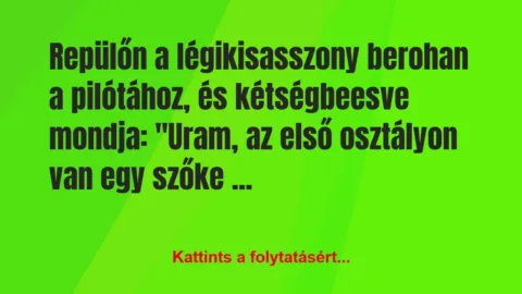 Vicc: Repülőn a légikisasszony berohan a pilótához, és…