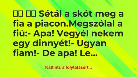 Vicc: 
		  
		  Sétál a skót meg a fia a…