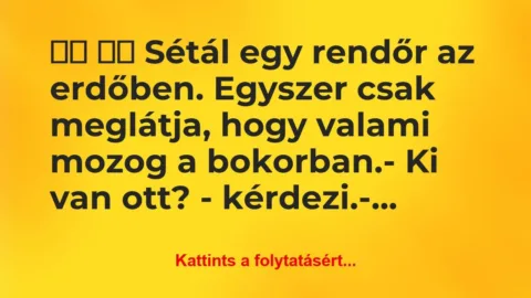Vicc: 
		  
		  Sétál egy rendőr az erdőben. Egyszer…