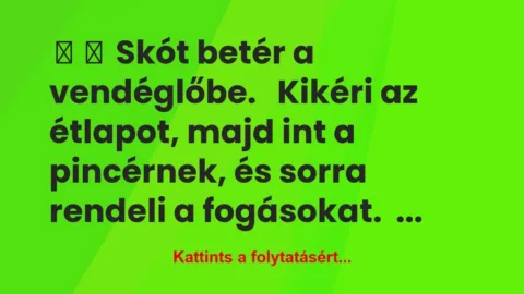 Vicc: 
	    	    Skót betér a vendéglőbe.


Kikéri az…