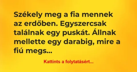 Vicc: Székely meg a fia mennek az erdőben. Egyszercsak találnak egy puskát…. Vicc: Székely meg a fia mennek az erdőben. Egyszercsak találnak egy puskát….