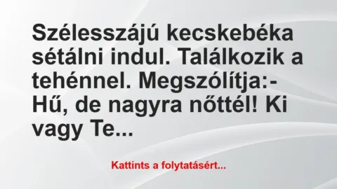 Vicc: Szélesszájú kecskebéka sétálni indul. Találkozik a tehénnel….
