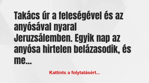 Vicc: Takács úr a feleségével és az anyósával nyaral…