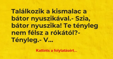 Vicc: Találkozik a kismalac a bátor nyuszikával.
– Szia, bátor… Vicc: Találkozik a kismalac a bátor nyuszikával.
– Szia, bátor…