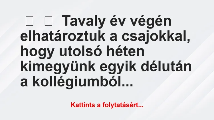 Vicc:
Tavaly év végén elhatároztuk a csajokkal, hogy… Vicc:
Tavaly év végén elhatároztuk a csajokkal, hogy…