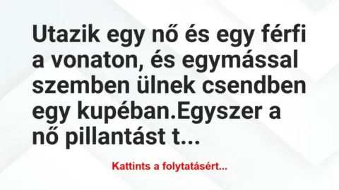 Vicc: Utazik egy nő és egy férfi a vonaton, és egymással szemben…