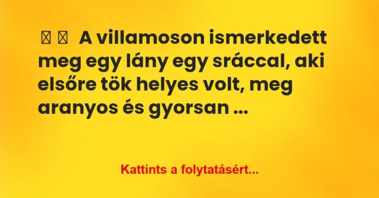Vicces történet:
A villamoson ismerkedett meg egy lány … Vicces történet:
A villamoson ismerkedett meg egy lány …