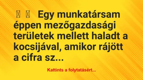 Vicces történet: 
	    	    


Egy munkatársam éppen…