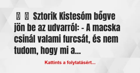 Vicces történet: 
	    	    Sztorik


Kistesóm bőgve jön be az udvarról:


– …