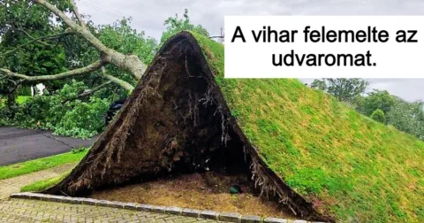 15 alkalom, amikor a természet meglepett és túlszárnyalta a hétköznapokat