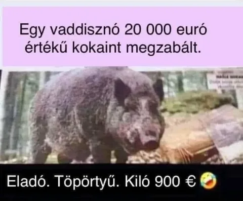 #VK1747378206