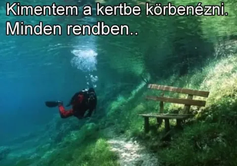 #VK1747474203