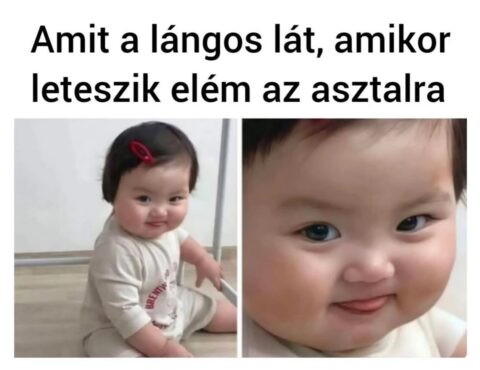 #VK1747545009