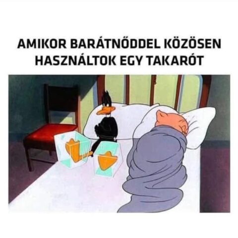 #VK1747569611
