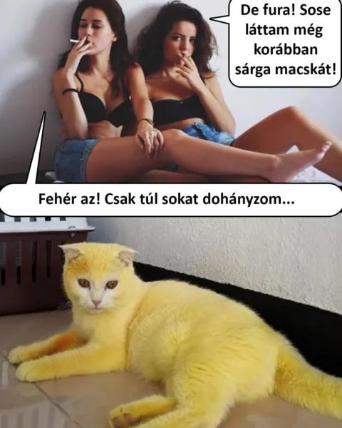 #VK1748271904