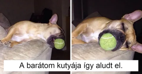 18 kép, ami meghozza a nevetést és az érzelmes pillanatot