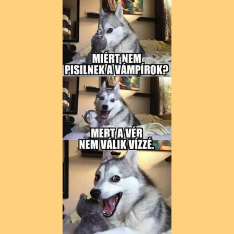 ]
