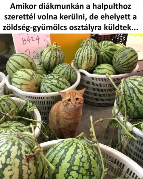 ]