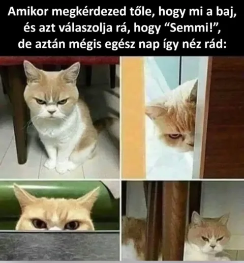 ]