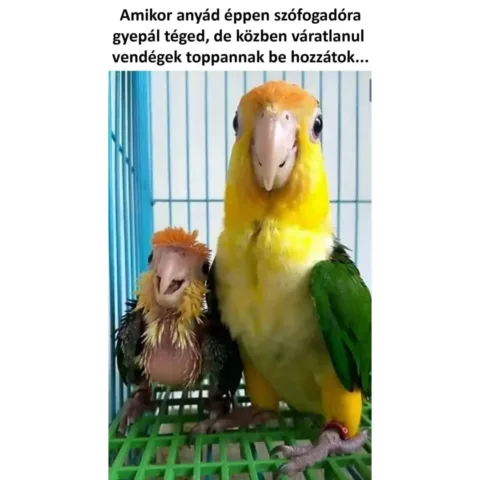 ]