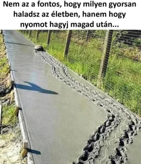]